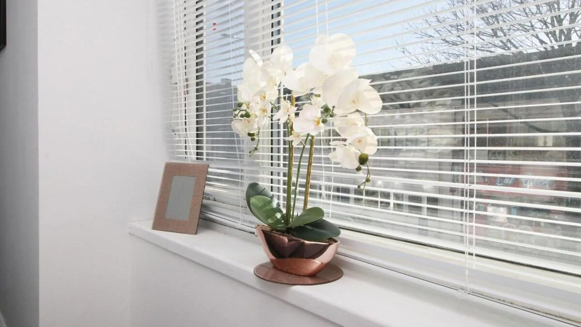 Comfortable 5-Bedroom Home Free Parking Swansea 0*,